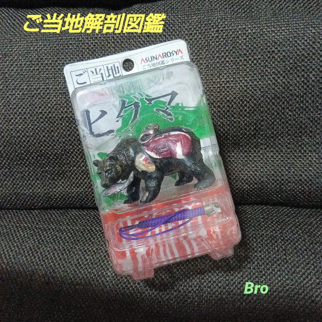 2026年最新】ご当地解剖図鑑の人気アイテム - メルカリ