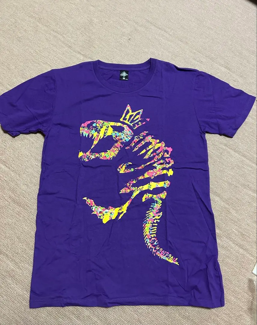 2026年最新】B'Z tシャツ dinosaurの人気アイテム - メルカリ