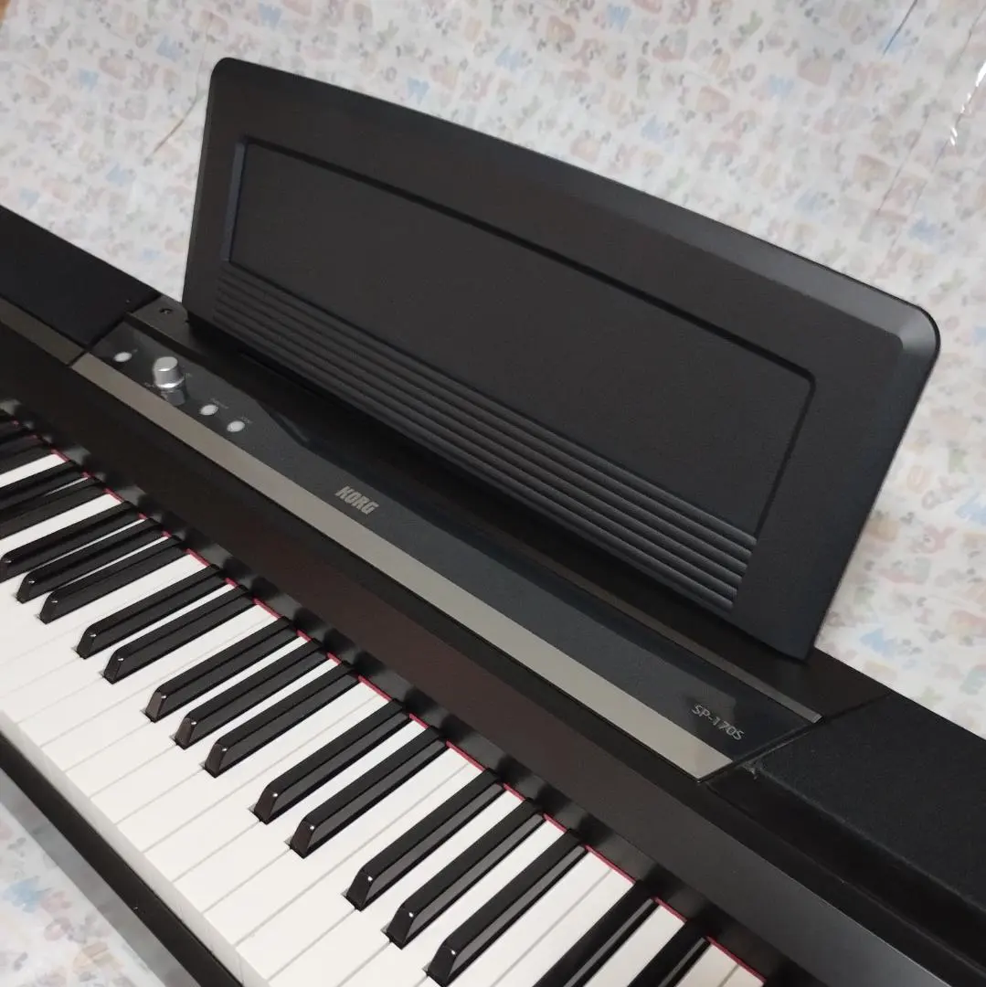 2026年最新】KORG SP-170の人気アイテム - メルカリ