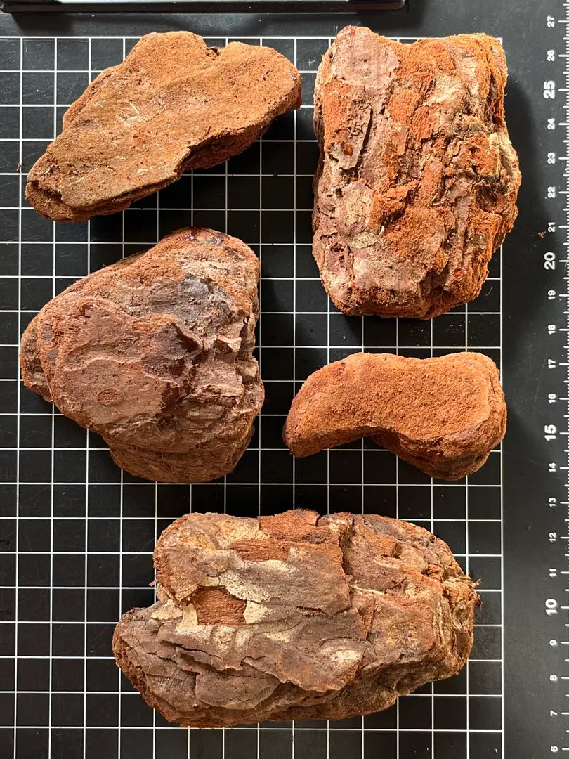 2026年最新】ハビタット 石の人気アイテム - メルカリ