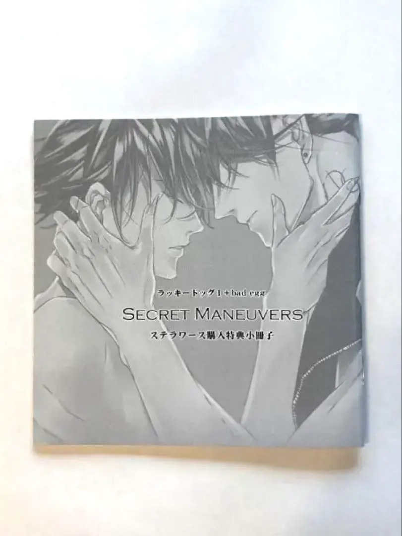 2026年最新】ラッキードッグ1 特典 CDの人気アイテム - メルカリ