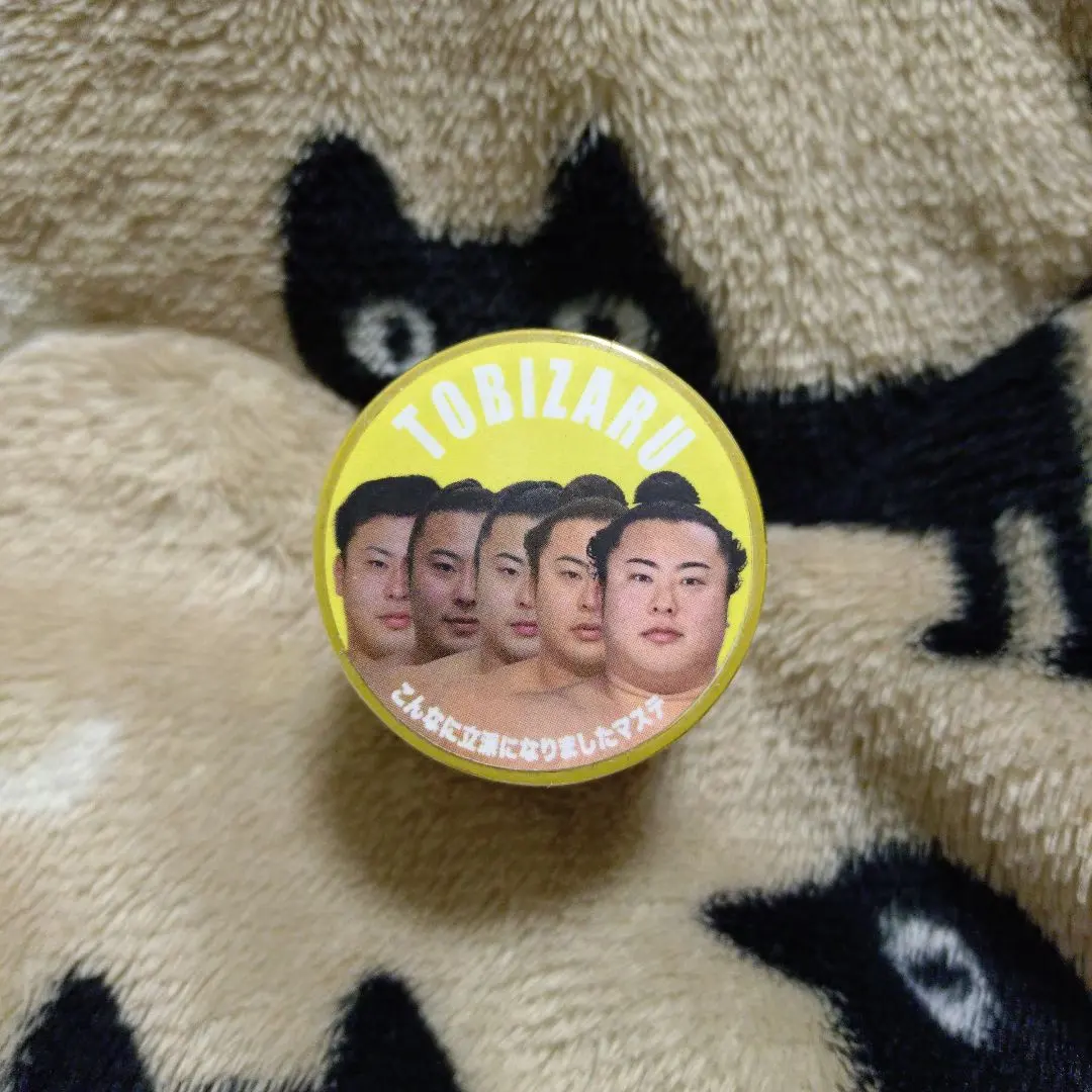 2026年最新】こんなに立派になりましたマステの人気アイテム - メルカリ