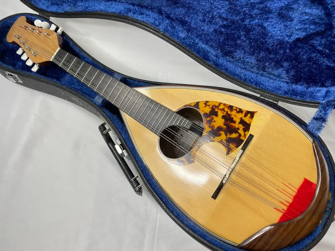 2026年最新】マンドリン 野口の人気アイテム - メルカリ