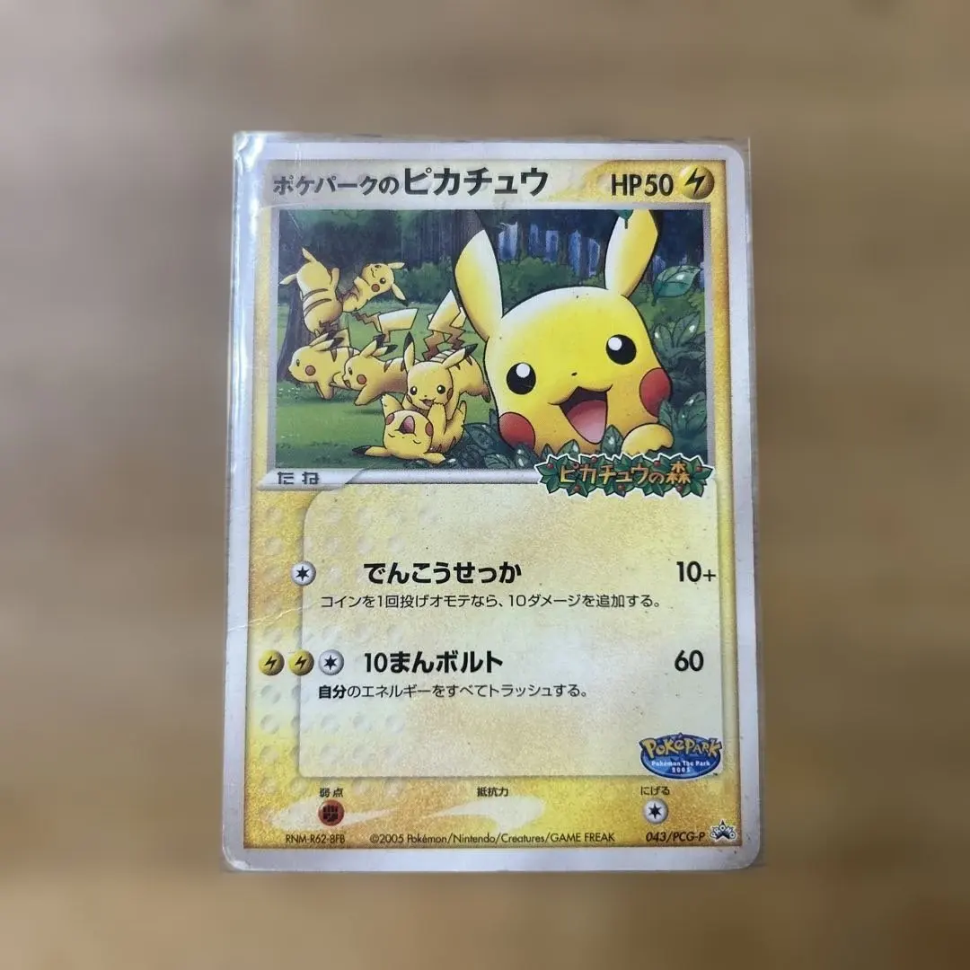 m97351087909_1.jpg?1770817432