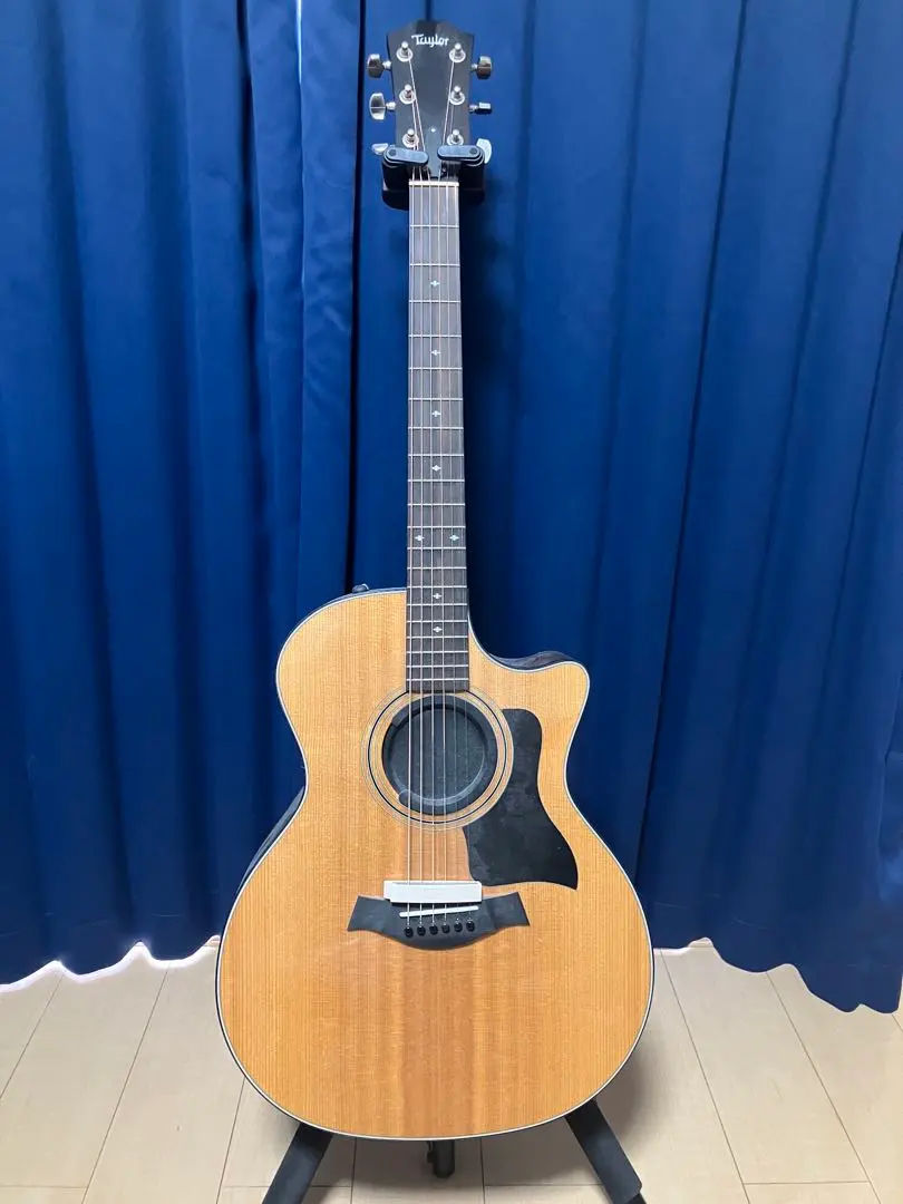 2026年最新】taylor 314ceの人気アイテム - メルカリ