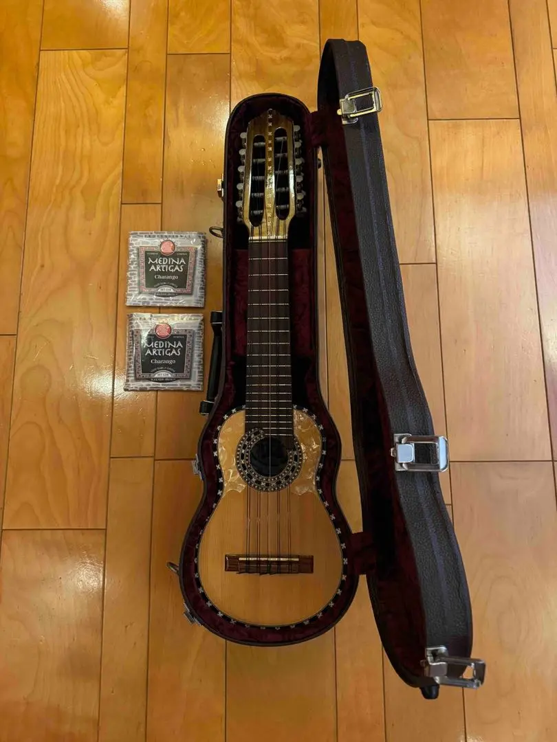 2026年最新】チャランゴの人気アイテム - メルカリ