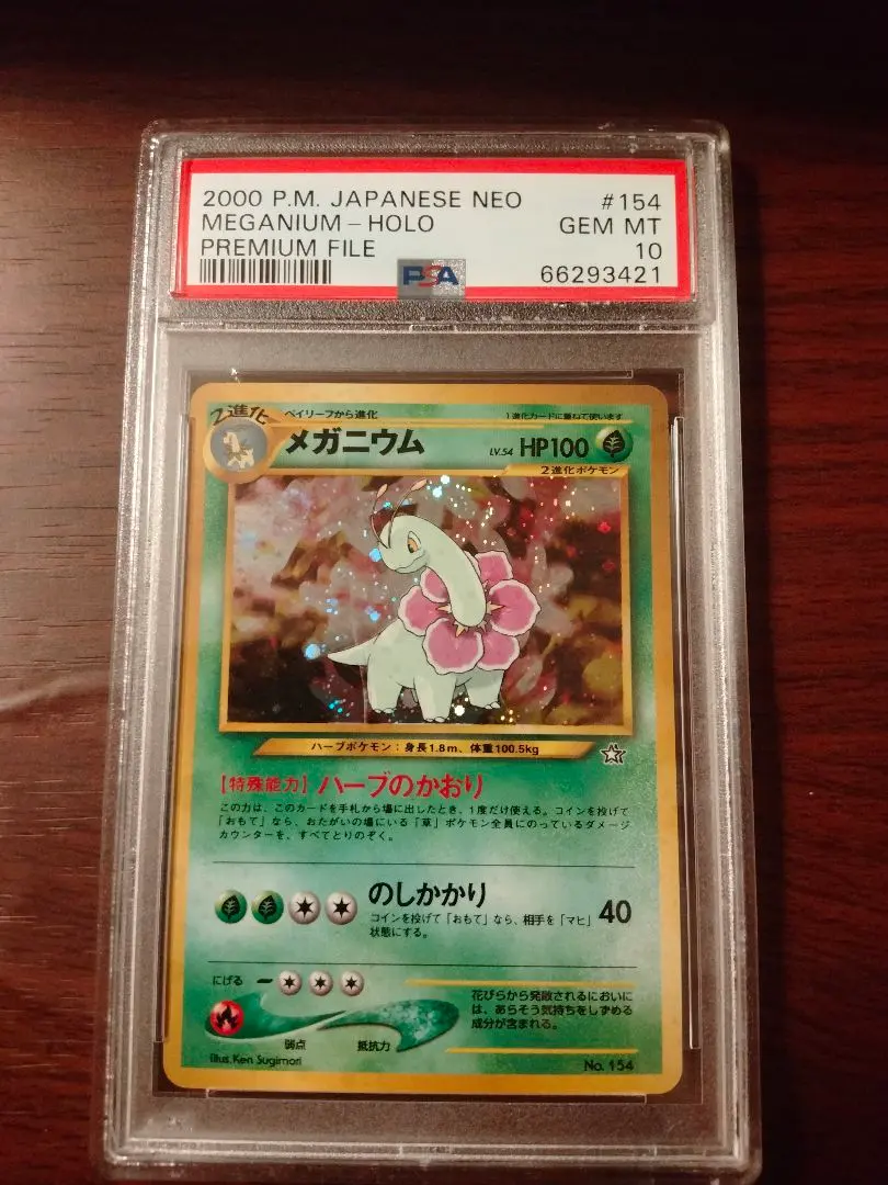 2026年最新】メガニウム 旧裏 psa10の人気アイテム - メルカリ