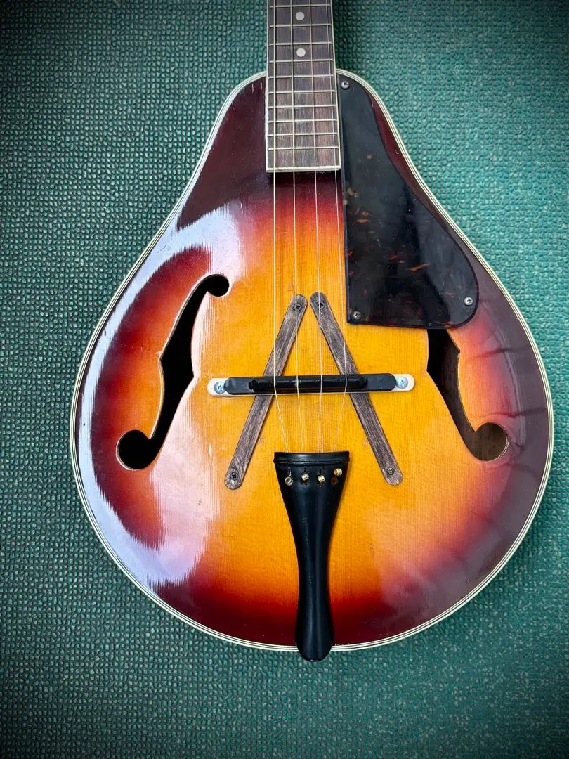 2026年最新】カヴァキーニョの人気アイテム - メルカリ