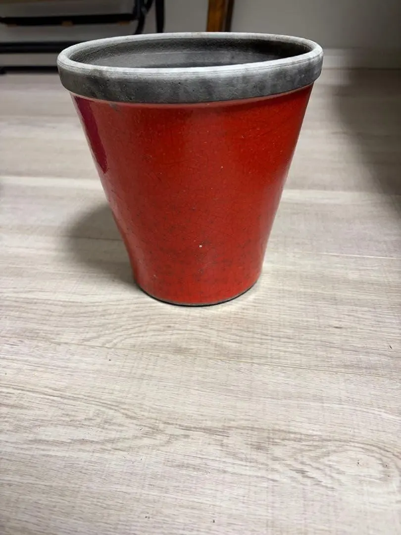 2026年最新】domani ドマーニ 鉢の人気アイテム - メルカリ