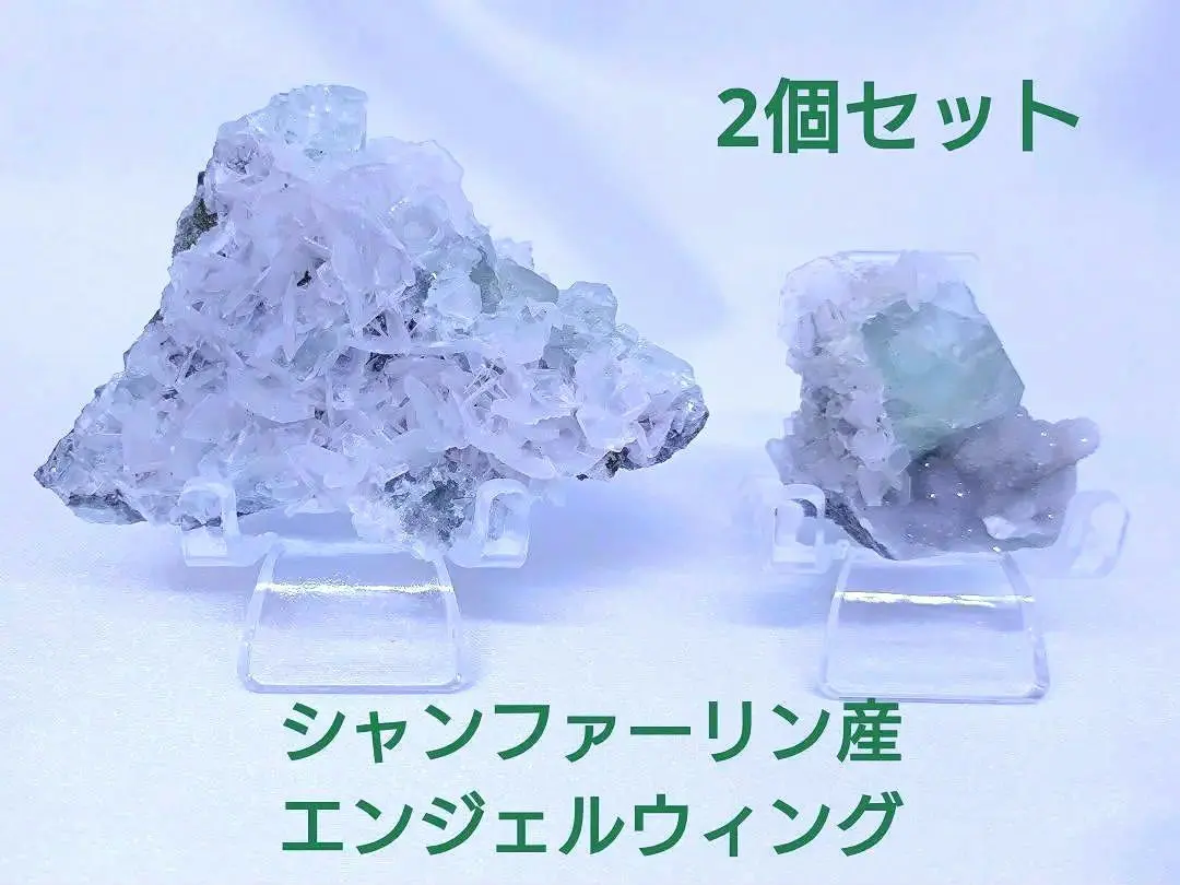 2026年最新】ホワイトローズカルサイトの人気アイテム - メルカリ