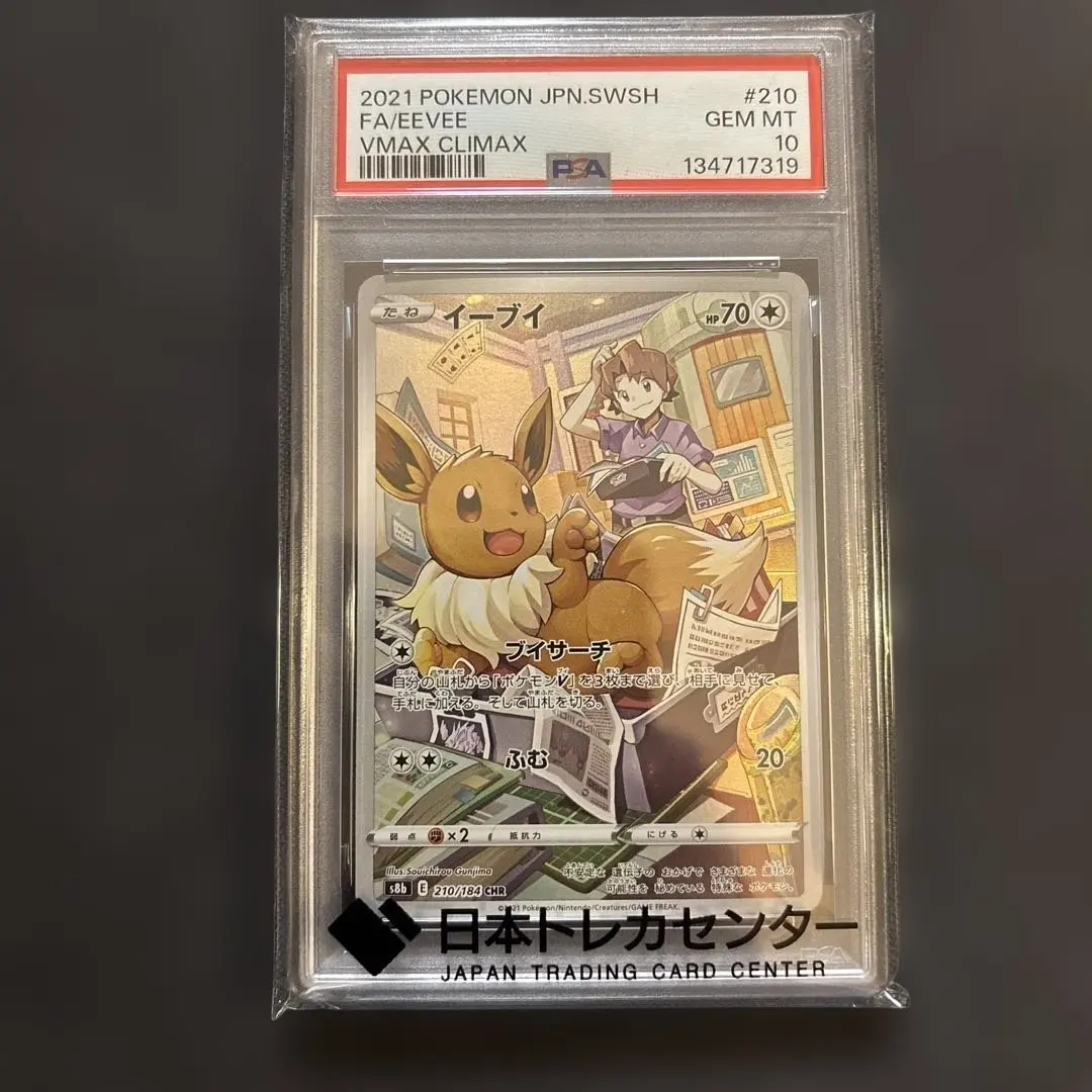 m83620668234_1.jpg?1771676459