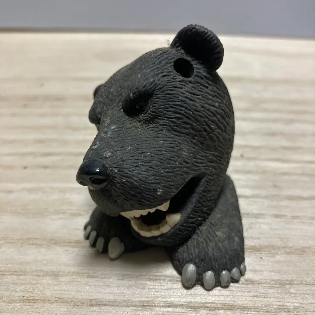 2026年最新】ヒグマ 牙の人気アイテム - メルカリ