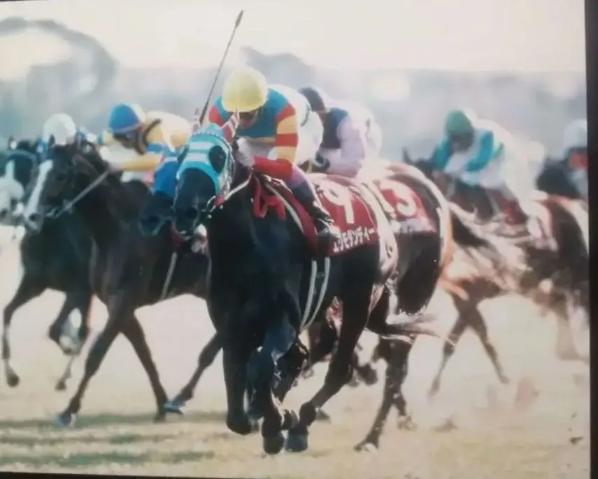 2026年最新】パネル gallopの人気アイテム - メルカリ