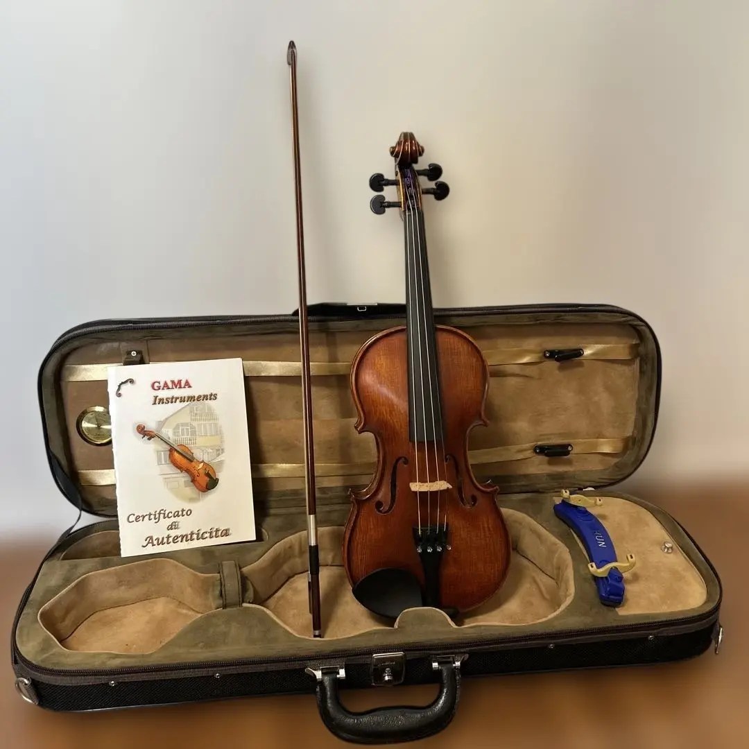 2026年最新】バイオリン GLIGAの人気アイテム - メルカリ