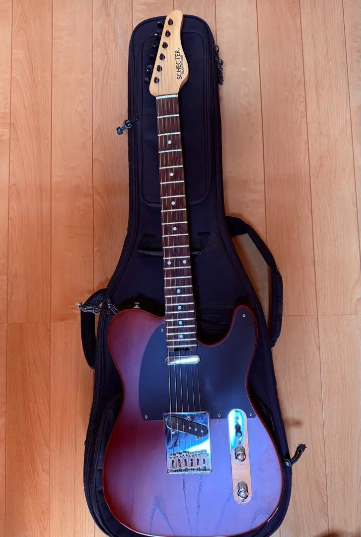 2026年最新】progauge schecterの人気アイテム - メルカリ