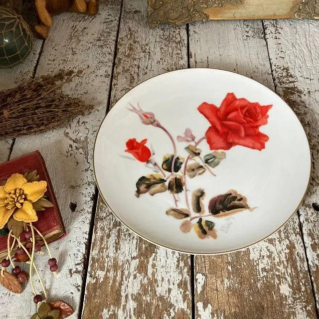 2026年最新】井上武 ノリタケの人気アイテム - メルカリ