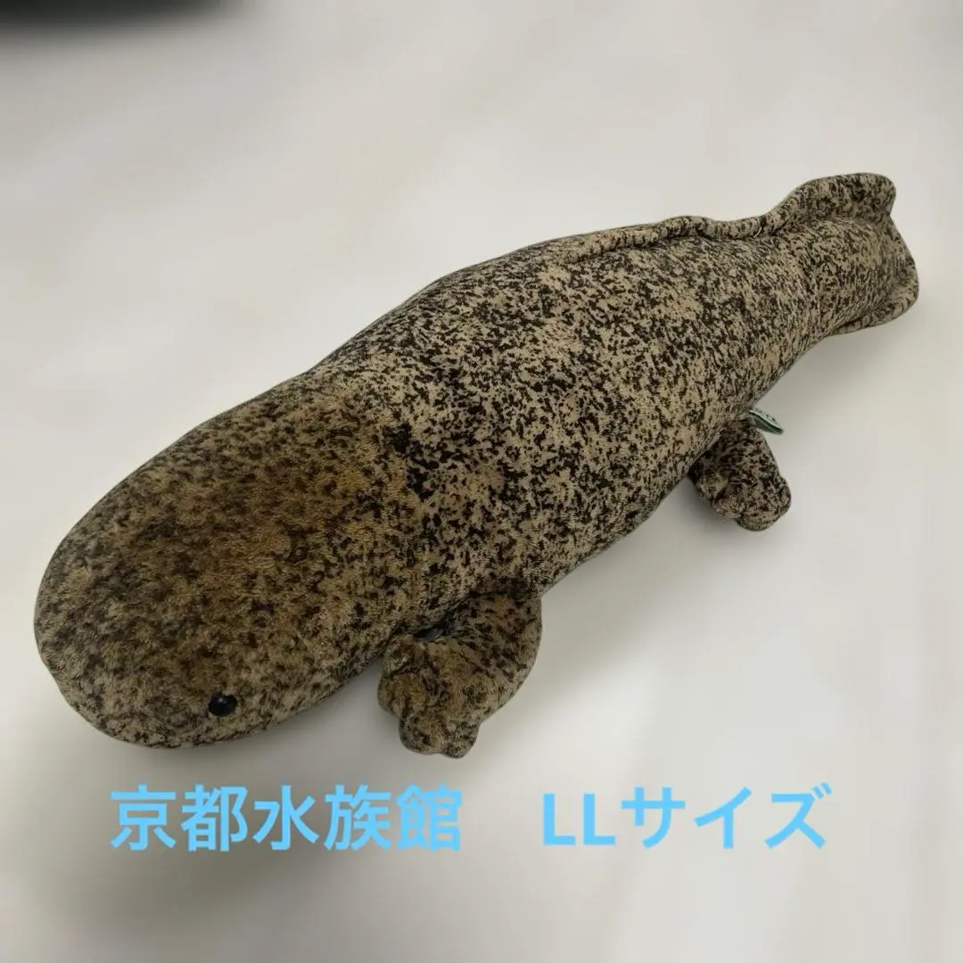 2026年最新】オオサンショウウオ 京都水族館 llの人気アイテム - メルカリ