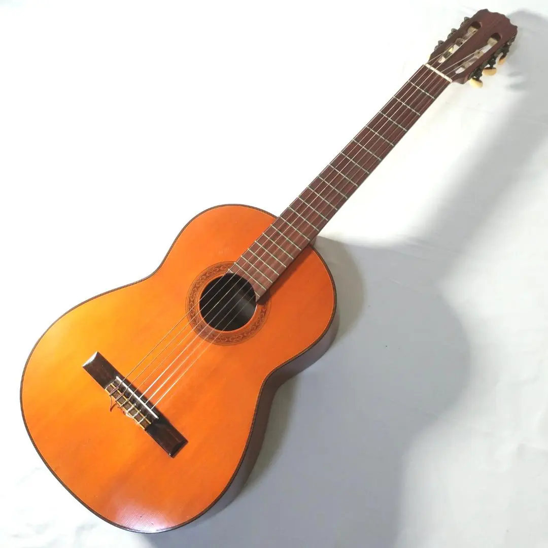 2026年最新】shinano シナノ ギターの人気アイテム - メルカリ