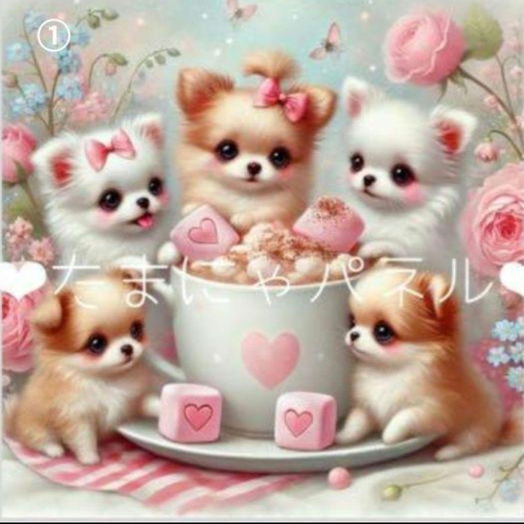 ななちゃん様確認用⑤