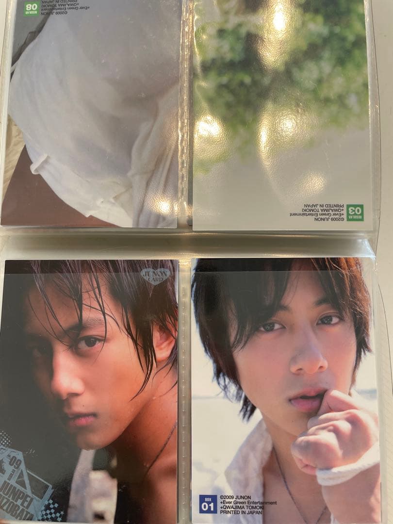 溝端淳平 写真トレーディングカード44枚 両面写真 - メルカリ