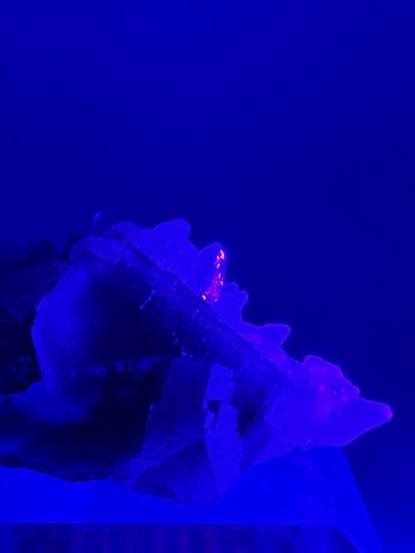 フローライト 犬牙カルサイト 共生 蛍石 原石 鉱物 標本 天然石 - メルカリ