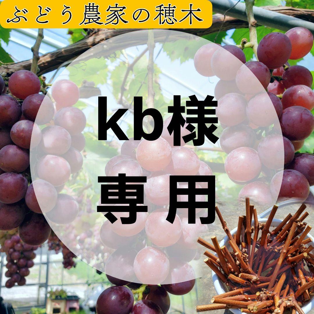 kb様専用】色々な穂木栽培 挿し木 苗木に♪ - メルカリ