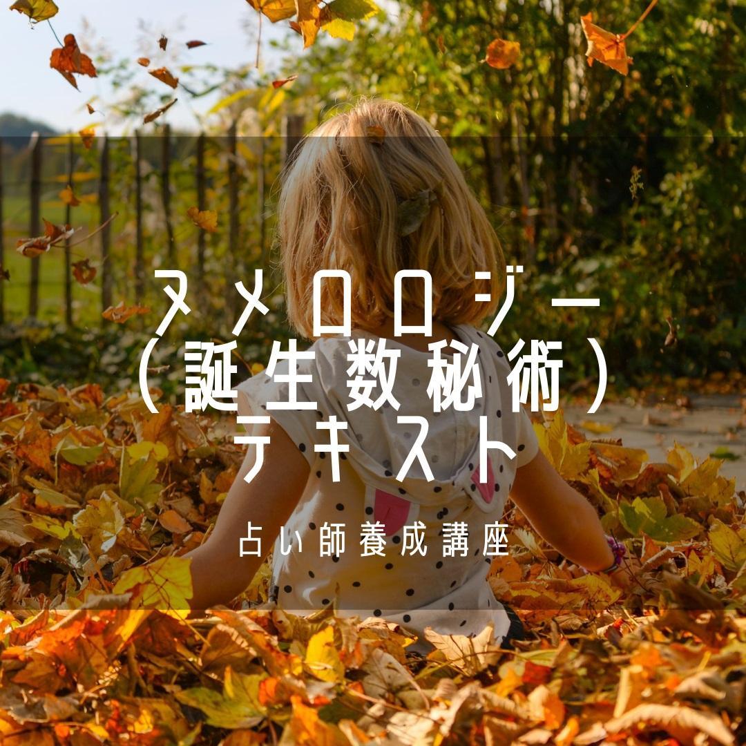 ★スピリチュアルリーダー養成★上級コース☆非売品 ヒプノセラピスト レイキ 数秘