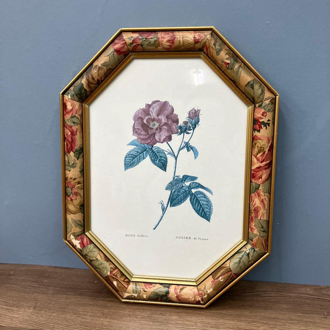 【イタリア製】ボタニカルアート 八角形 額縁 額装 薔薇 ロサ・ガリカ 花 絵画 イタリア製 薔薇額絵 ゴールド枠 アクリル板 お得な2枚セット販売