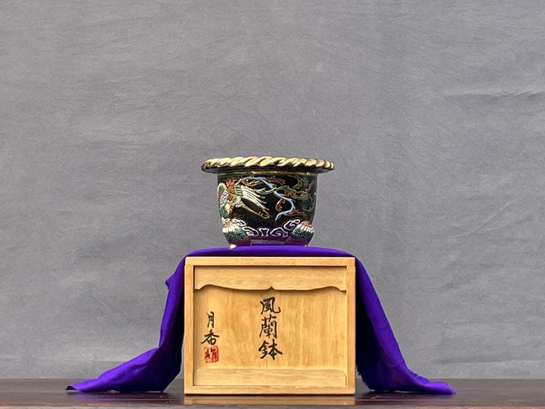 三河盆栽 月香 蘭鉢