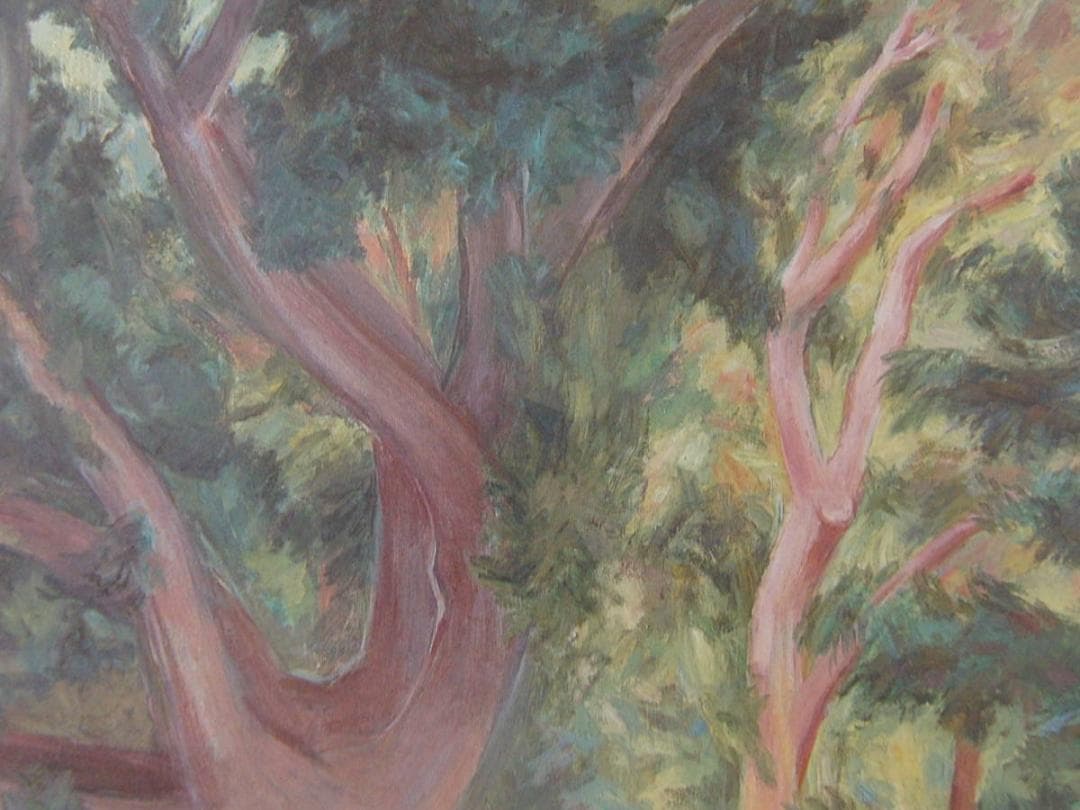 中谷貞彦、【樹影】、希少な額装用画集より、新品額装付