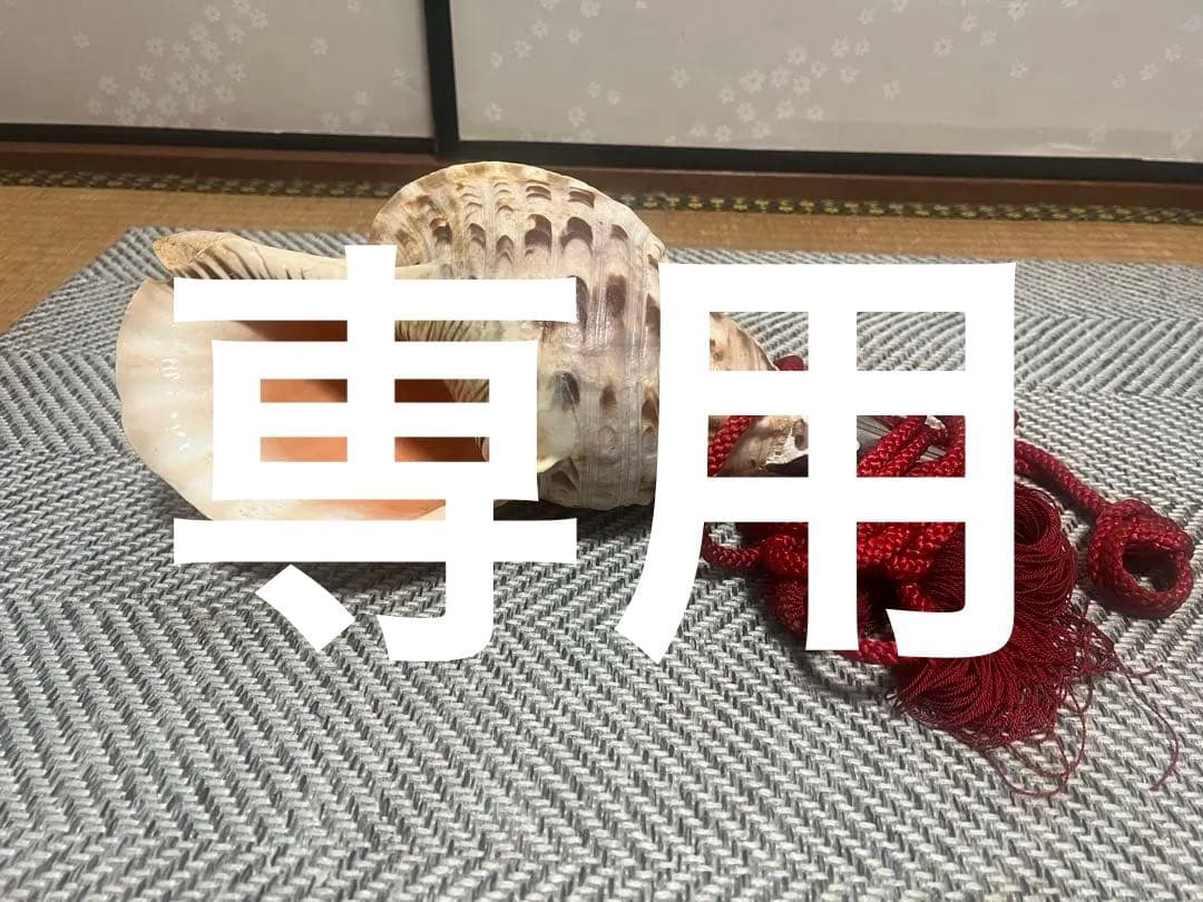 貝の楽器 赤い紐付き　ホラガイ 楽天市場】【 伊勢 宮忠 】【 No.1 法螺貝（ほら貝） 大型 】全長42.9