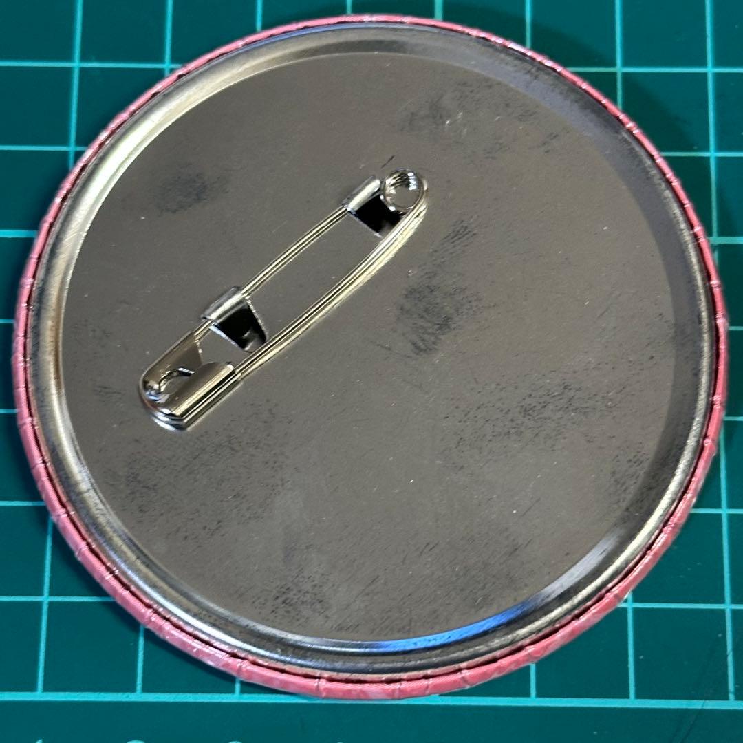 化物語 偽物語 物語シリーズ ナンジャタウン 特典缶バッジ 阿良々木暦