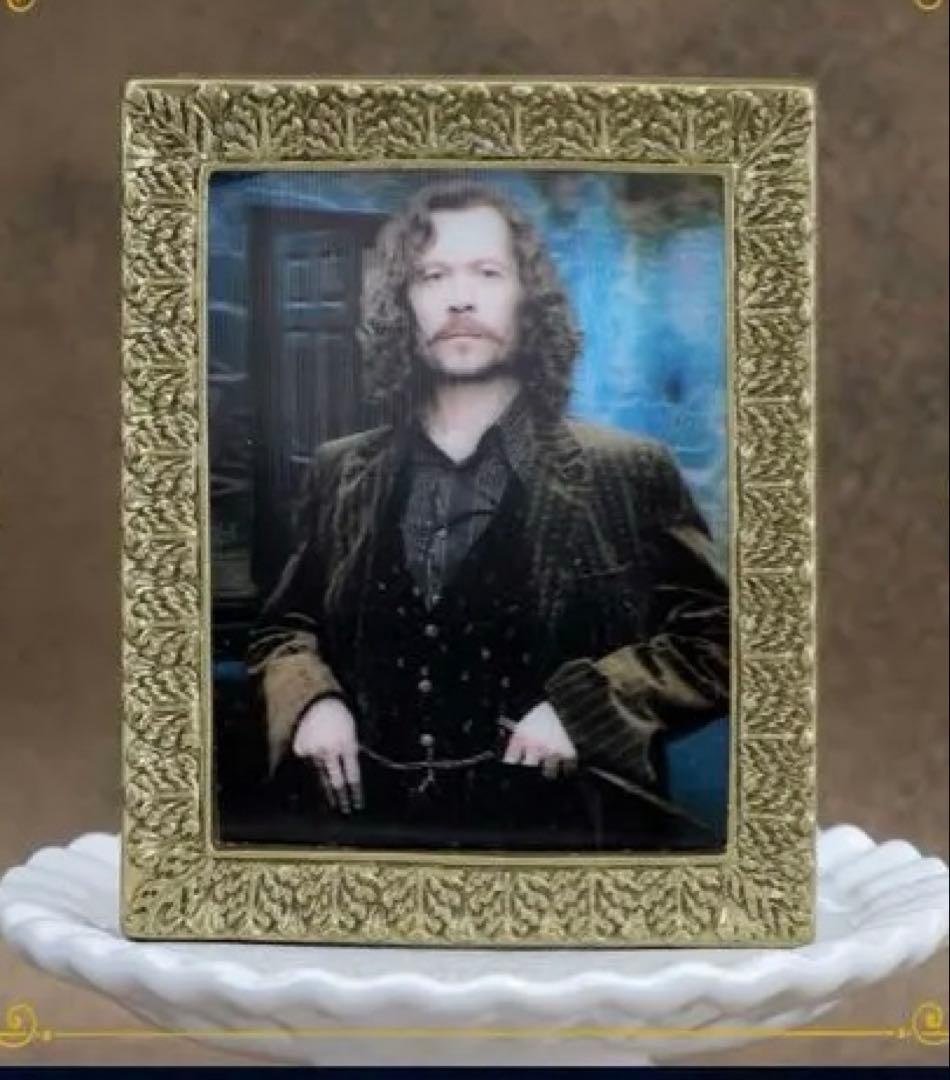 ハリー・ポッター 肖像画マグネットコレクション7種セット - メルカリ