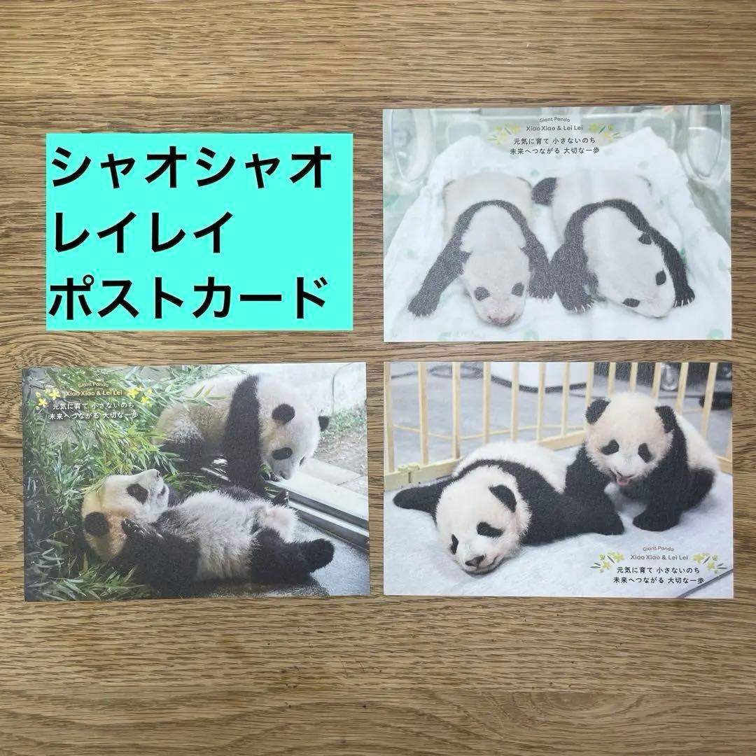 シャオシャオ レイレイ ポストカード 3枚 ②ジャイアントパンダ 上野