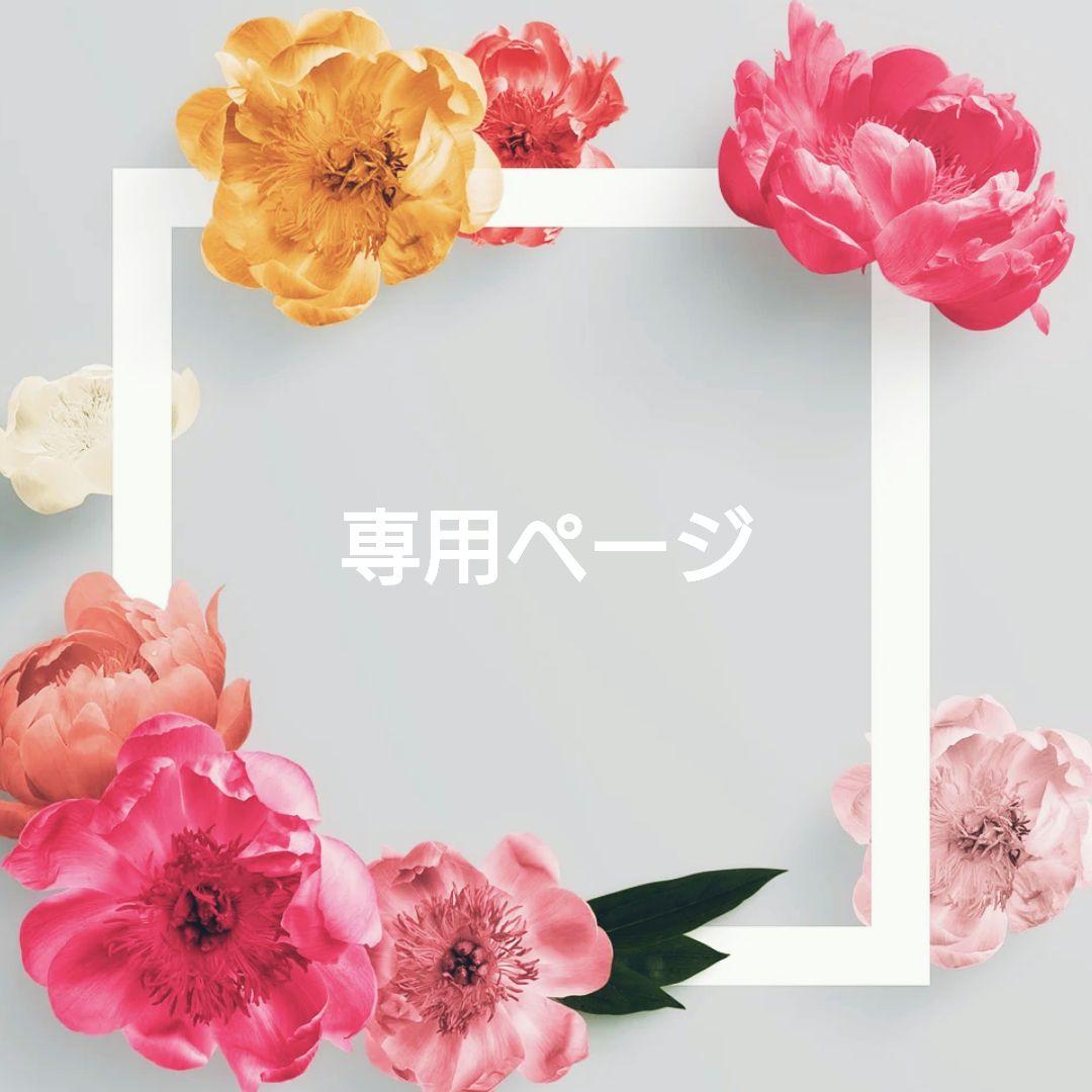 カイラニ様✺専用ページ 23~ZX-4R/4RR ｼﾝｸﾞﾙｼｰﾄ/ｽﾄﾘｰﾄ | EIGHT （才谷屋ファクトリー､HEART）