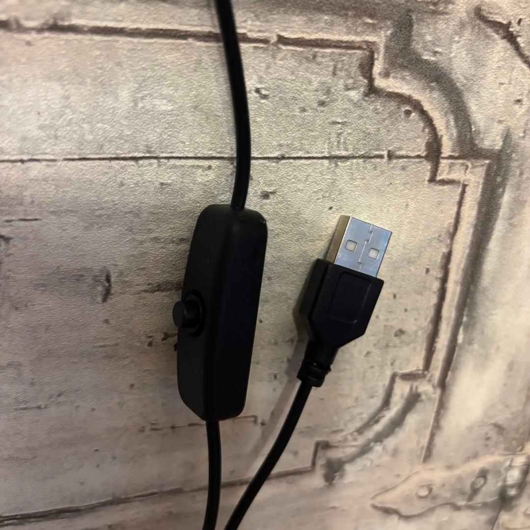 【Special Price】 血誓いの棺(拷問)オブジェ