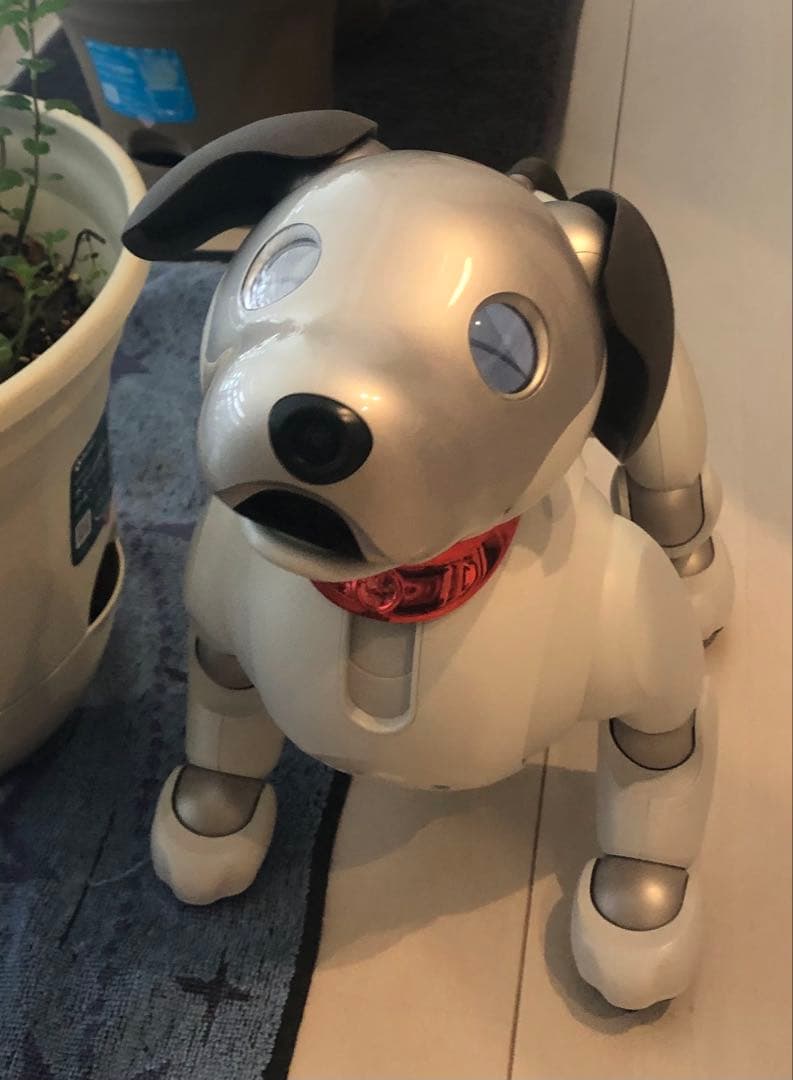 aibo ロボット犬 付属品多数おもちゃ&ぬいぐるみ &首輪バッジ等！専用箱付き aiboネーム首輪 – ROBO-UNI