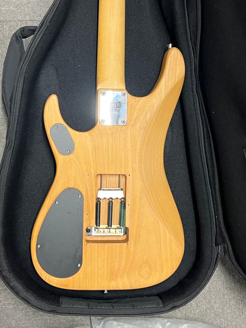 Washburn N2 1991年日本製Mod - メルカリ