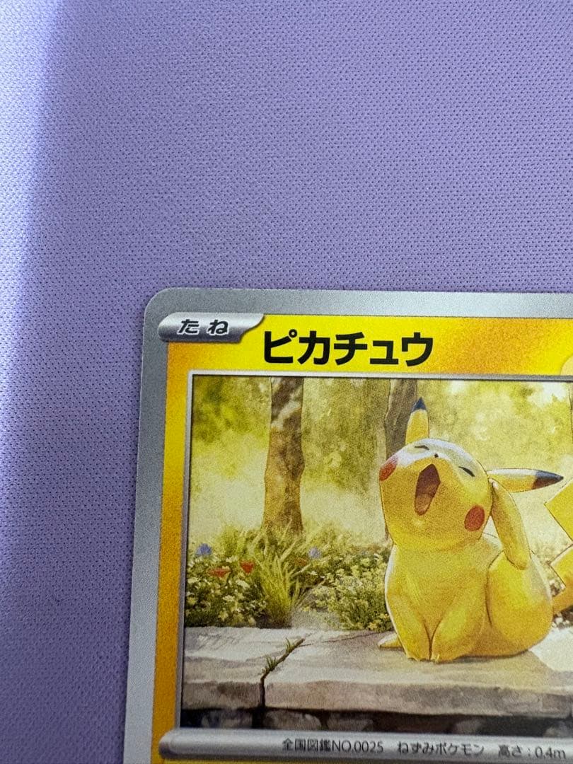 ピカチュウ：イラストレーションコンテスト 2024 PROMO SV-Pプロモ