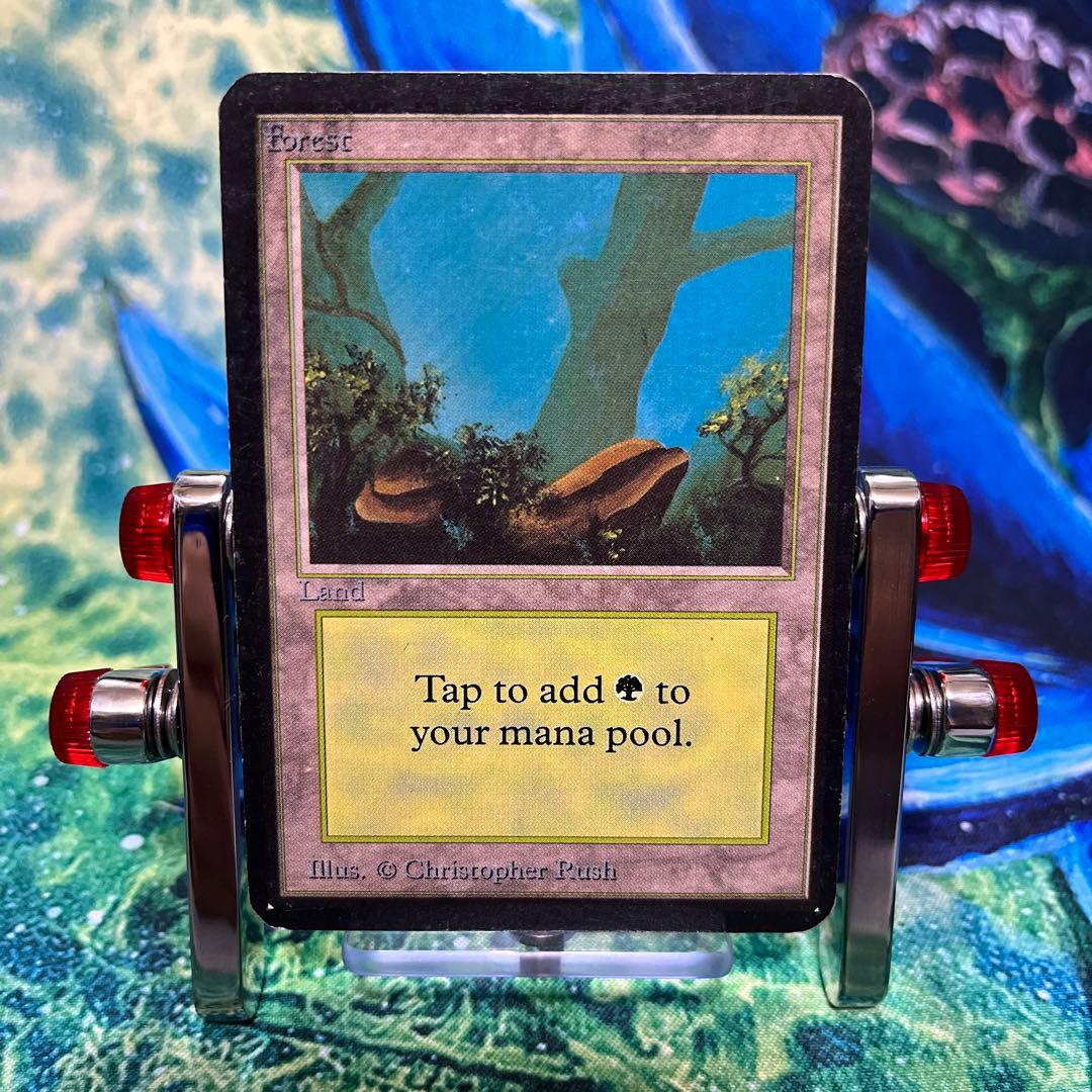 956 《森/Forest》MTG アルファ α [LEA] 基本土地 - メルカリ