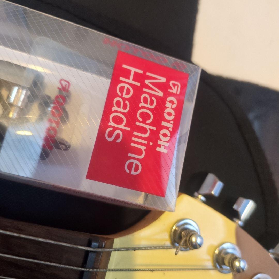 zo-3 限定 希少 カラー キリン