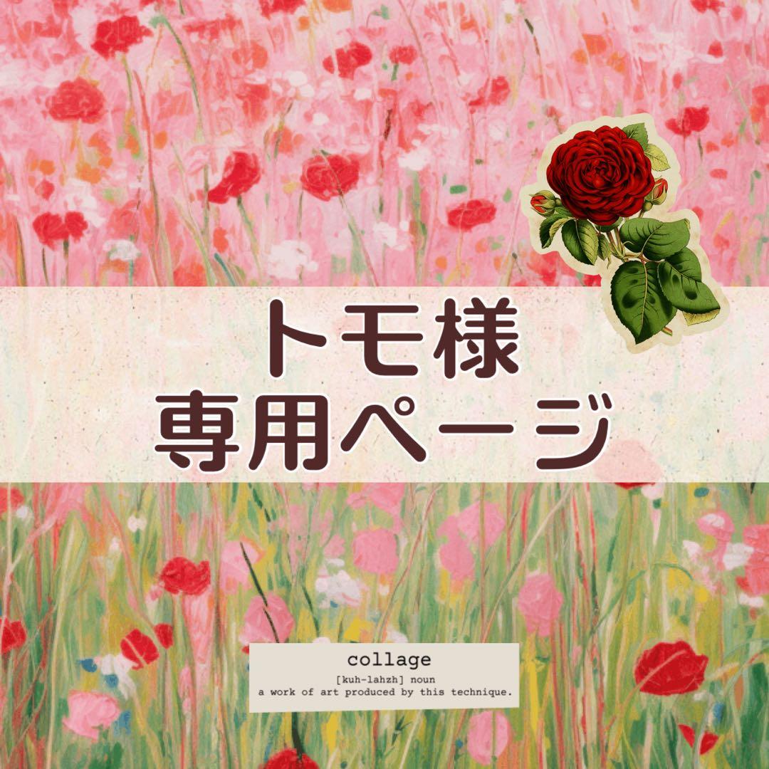 トモ様 リクエスト 2点 まとめ商品 - メルカリ