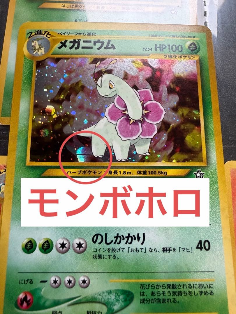 ポケモンカード ネオ 金銀発売記念 プレミアムファイル 旧裏 9枚セット