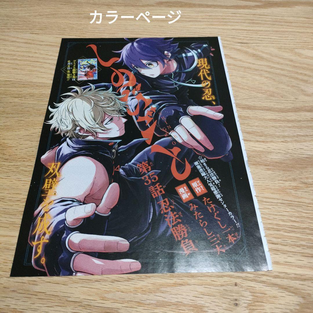 ジャンプ付録 しのびごと 13点 カラーページ カード ゲッコウガ