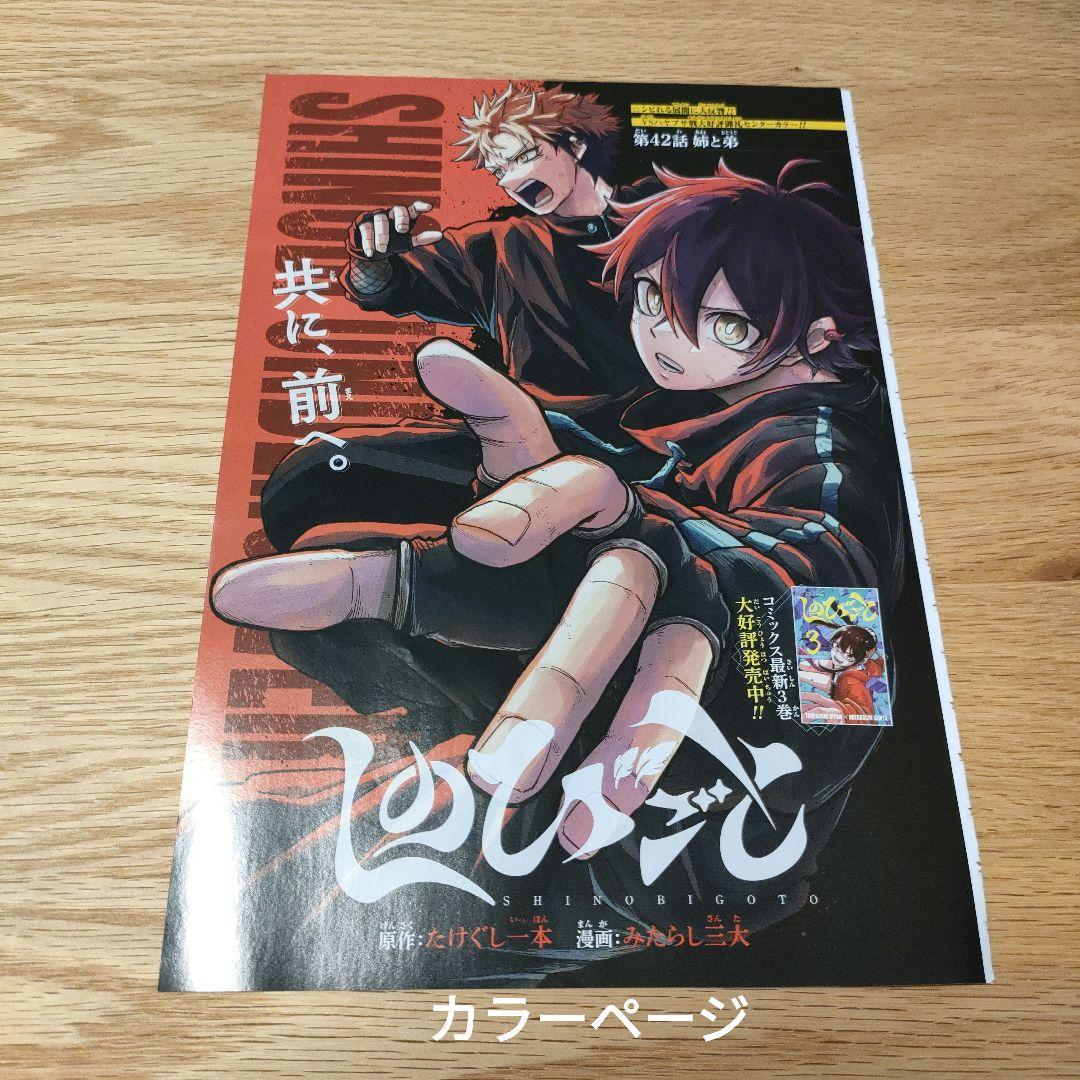 ジャンプ付録 しのびごと 13点 カラーページ カード ゲッコウガ