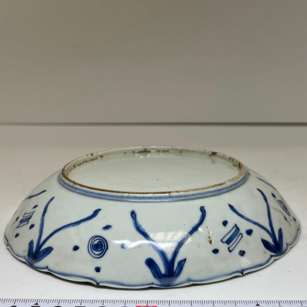 中国明時代 上手古染付 芙蓉手 中皿 木箱付 東キ8-0212⑧ トコカト