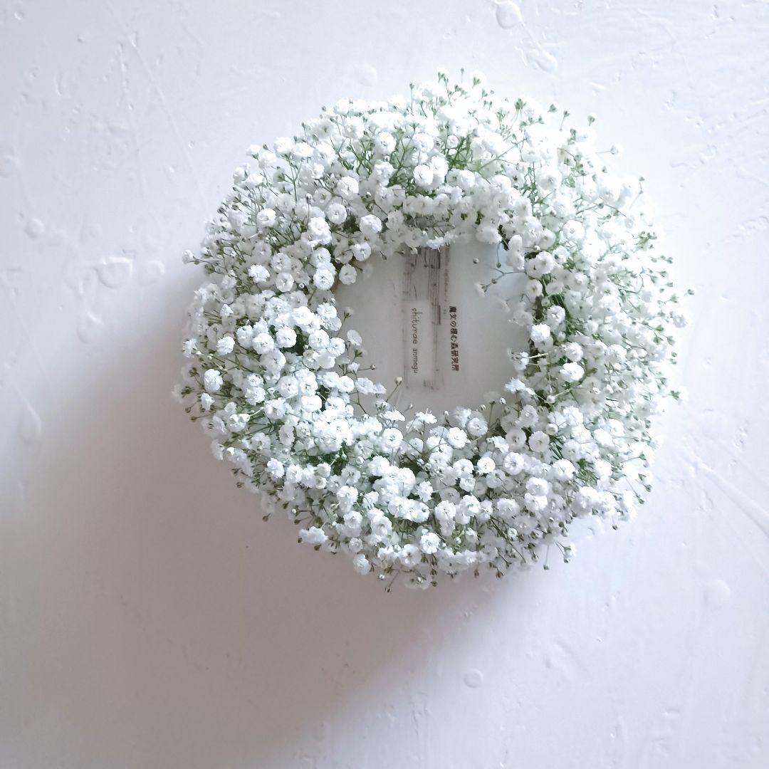 新品 未使用 カスミソウリース ドライフラワー リース 【ご予約】 wreath 「かすみ月№2」 リース かすみ草 カスミソウ 三日月リース