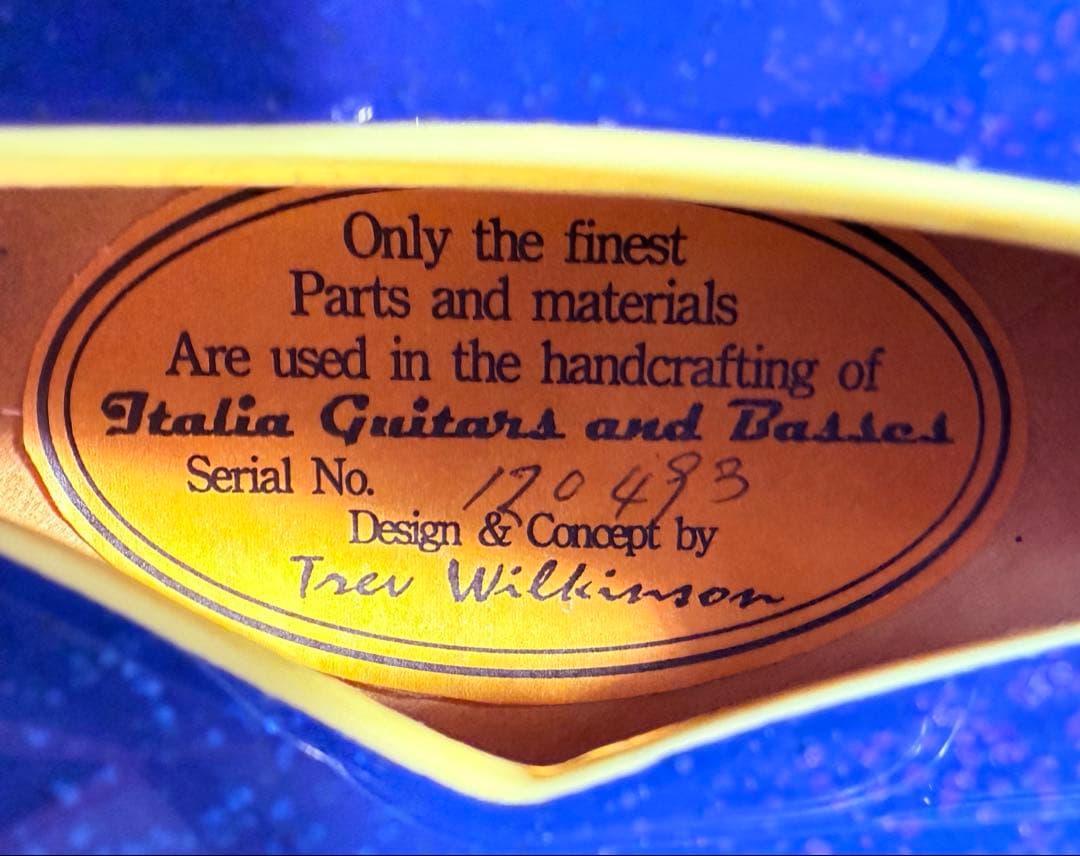 美品】Italia Guitars Torino V イタリアギター - メルカリ