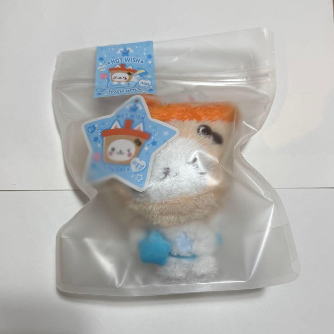 nct wish ユウシ バブルニャン ぬいぐるみ - メルカリ