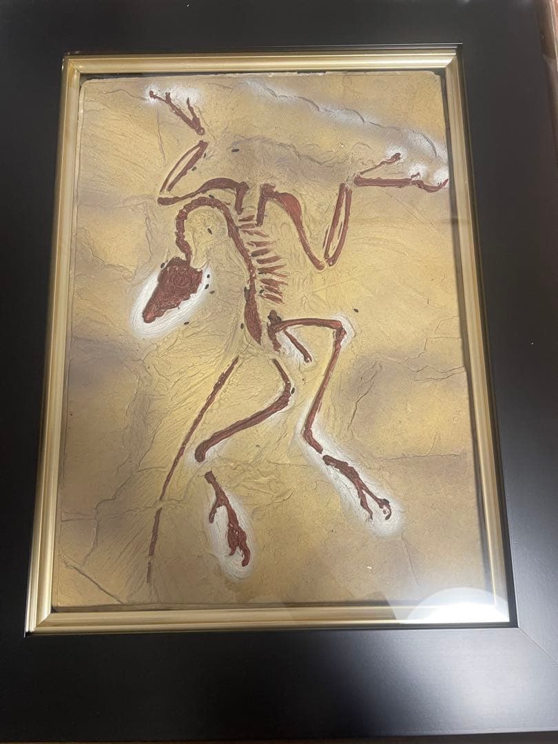 始祖鳥（アーケオプテリクス）の石膏製骨格標本レプリカ フレーム付き 始祖鳥（アーケオプテリクス）の石膏製骨格標本レプリカ フレーム付き